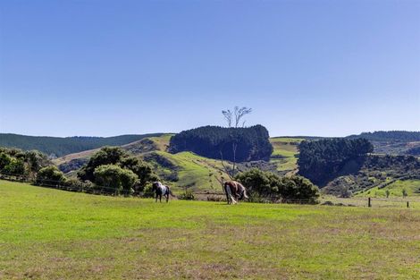 Photo of property in 135b Hutchinson Road, Helensville, 0875