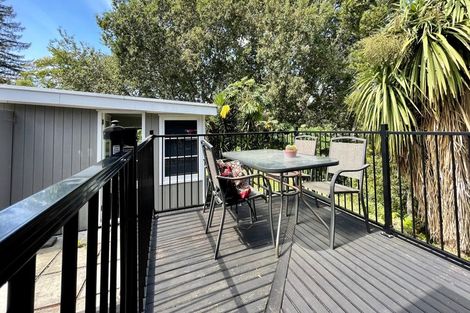 Photo of property in 9b Murray Street, Maeroa, Hamilton, 3200