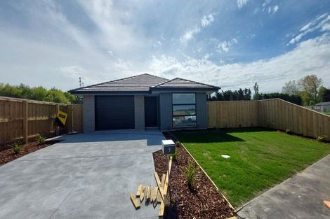 Photo of property in 9 Treedale Street, Belfast, 8051
