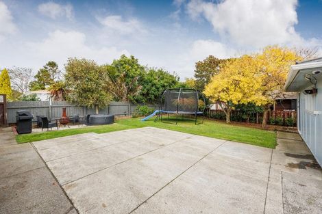 Photo of property in 3 Wincanton Place, Awapuni, Palmerston North, 4412
