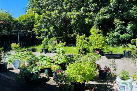 Photo of property in 66 Salamanca Road, Sunnynook, Auckland, 0620