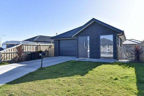 Photo of property in 38 Quinn Crescent, Woodend, 7610
