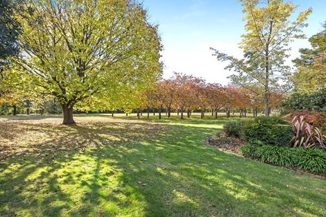 Photo of property in 259 O'roarkes Road, Fernside, Rangiora, 7471
