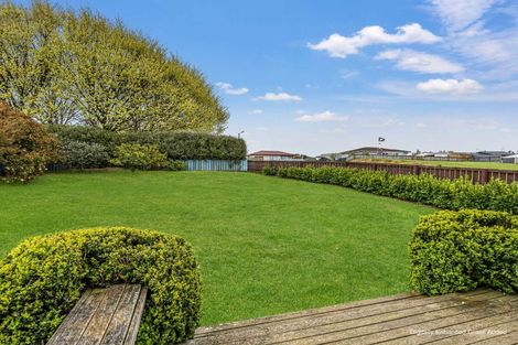 Photo of property in 25 Porritt Place, Waipukurau, 4200