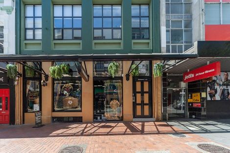 Photo of property in Arco House, 45u2 Cuba Street, Te Aro, Wellington, 6011