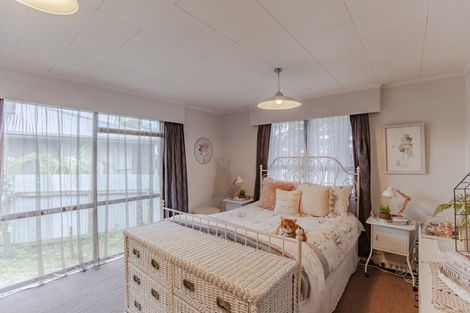 Photo of property in 6 Essex Street, Tamatea, Napier, 4112