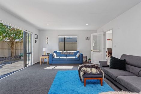 Photo of property in 53 Hawkesbury Avenue, St Albans, Christchurch, 8014