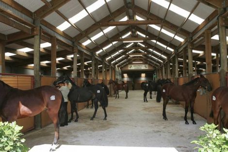 Photo of property in 816 Springs Road, Prebbleton, Christchurch, 7676