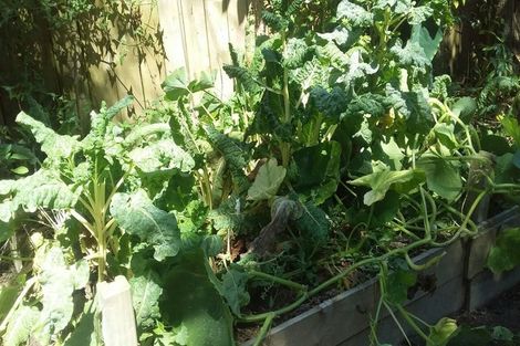 Photo of property in 6 Nettlingham Place, Te Puke, 3119