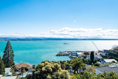 Photo of property in 25a Seapoint Road, Bluff Hill, Napier, 4110