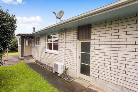 Photo of property in 163 Clarkin Road, Fairfield, Hamilton, 3214