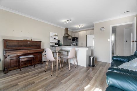 Photo of property in 219u3 Killarney Road, Frankton, Hamilton, 3204