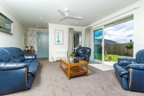 Photo of property in 17 Sabine Drive, Richmond, 7020