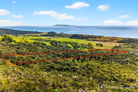 Photo of property in 495 Rahuikiri Road, Tomarata, Wellsford, 0972