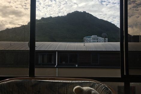Photo of property in 40 Maunganui Road, Mount Maunganui, 3116