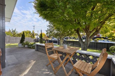 Photo of property in 46 Wake Street, Chartwell, Hamilton, 3210