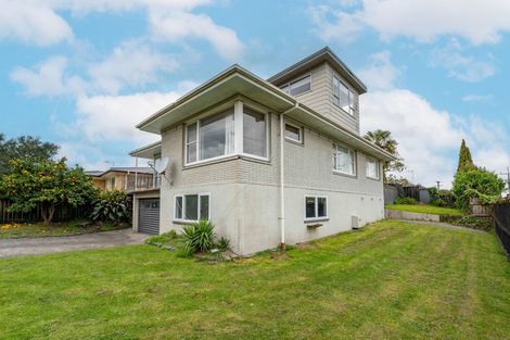 Photo of property in 123 Mahoe Street, Melville, Hamilton, 3206