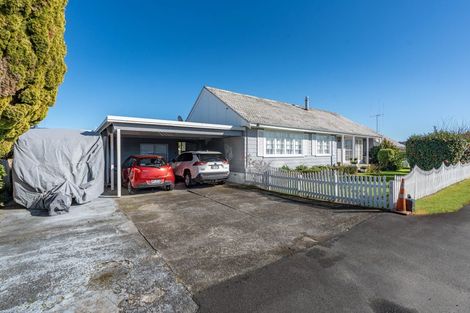 Photo of property in 171 Clarkin Road, Fairfield, Hamilton, 3214
