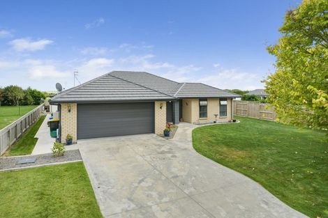 Photo of property in 9 Lakewood Grove, Levin, 5510