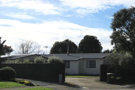 Photo of property in 17 Guy Avenue, Levin, 5510