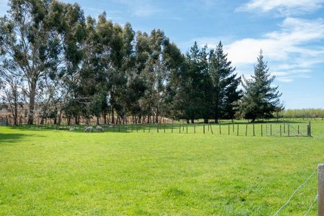 Photo of property in 466 Te Aute Road, Pakipaki, Hastings, 4172