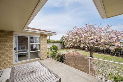 Photo of property in 10 Roeske Street, Richmond, 7020