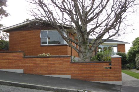Photo of property in 11 Selkirk Street, Roslyn, Dunedin, 9010
