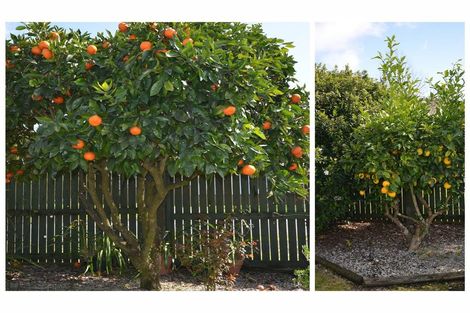 Photo of property in 1 Blundell Avenue, Kawerau, 3127