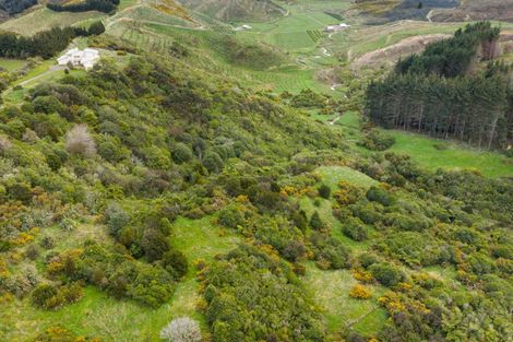 Photo of property in 186 Harrison Hill Road, Aokautere, Palmerston North, 4471