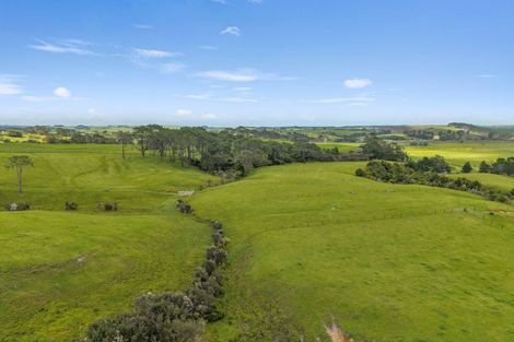 Photo of property in 309 Opanake Road, Parore, Dargaville, 0372