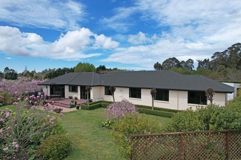 Photo of property in 331 Homestead Road, Weston, Oamaru, 9491