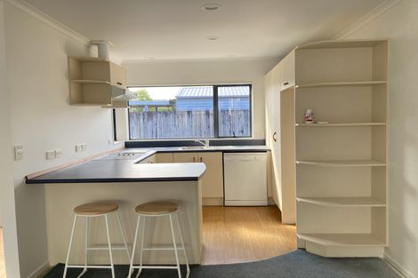 Photo of property in 213b Massey Street, Frankton, Hamilton, 3204