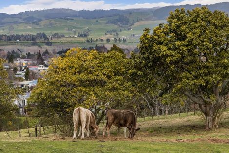 Photo of property in 51 Symonds Street, Waihi, 3610