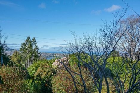 Photo of property in 7 Leven Street, Roslyn, Dunedin, 9010