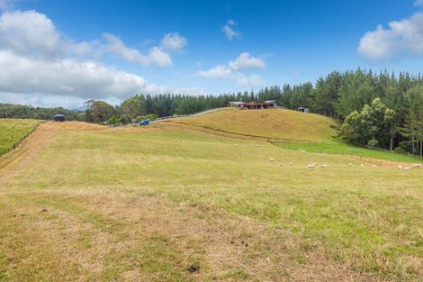 Photo of property in 88 Scott Road, Puketotara, Te Awamutu, 3876