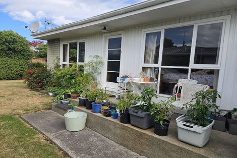 Photo of property in 64 Puriri Street, Riccarton, Christchurch, 8041