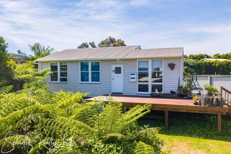Photo of property in 21 Ngatoto Road, Tinopai, Matakohe, 0593