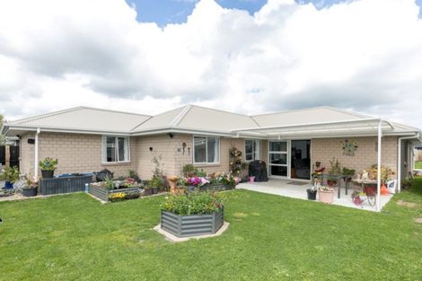 Photo of property in 31 Ladeira Place, Fitzroy, Hamilton, 3206