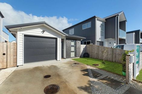 Photo of property in 29 Fredrick Hanson Road, Papakura, 2110