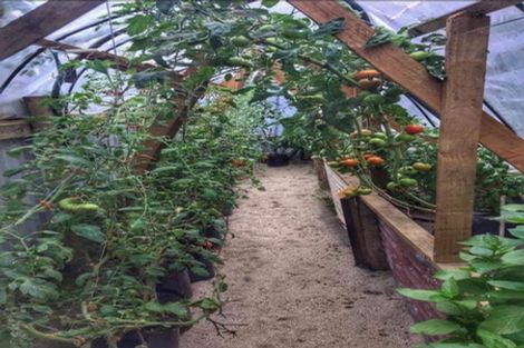 Photo of property in 172 Romilly Street, Westport, 7825