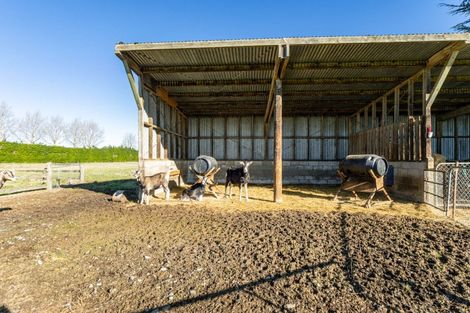 Photo of property in 1311 Methven Highway, Lauriston, 7776