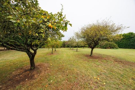 Photo of property in 46 Turitea Road, Fitzherbert, Palmerston North, 4472