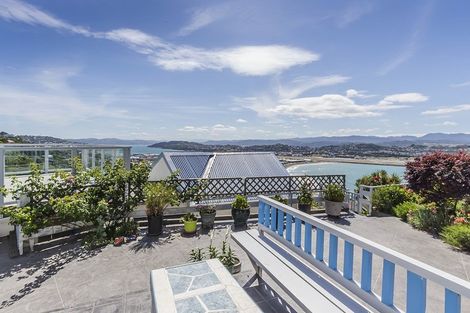 Photo of property in 133 Hornsey Road, Melrose, Wellington, 6023