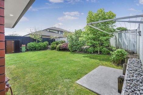 Photo of property in 48a Macfarlane Street, Hamilton East, Hamilton, 3216