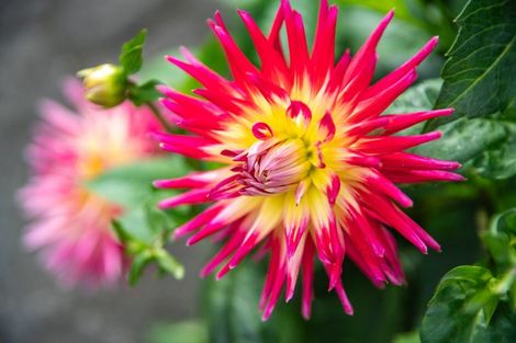 Photo of property in 6 Calgarry Avenue, Thorndon, Wellington, 6011