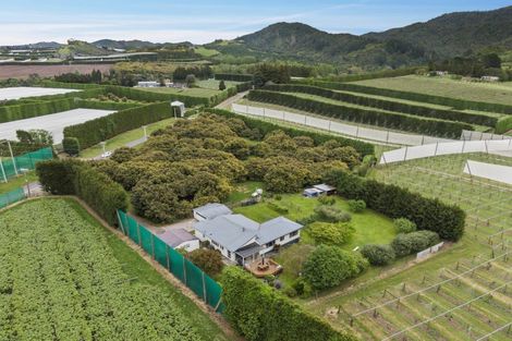 Photo of property in 348 Manoeka Road, Te Puke, 3183