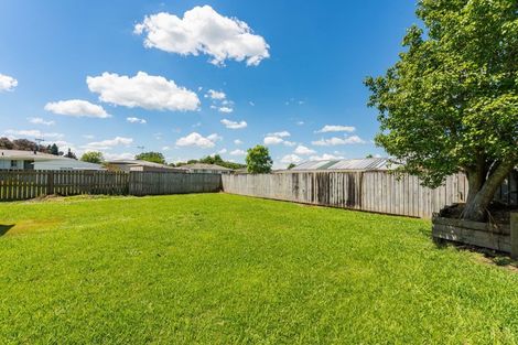 Photo of property in 161 Hazelmere Crescent, Te Awamutu, 3800
