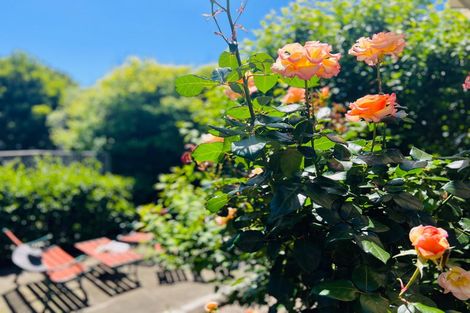 Photo of property in 20 Freyberg Crescent, Waikanae Beach, Waikanae, 5036