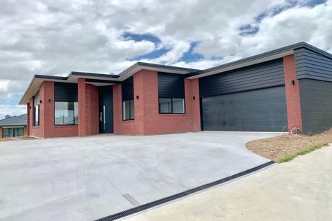 Photo of property in 149 Rosehearty Place, Te Awamutu, 3800