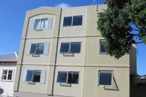 Photo of property in 11 Douglas Street, Mount Cook, Wellington, 6021